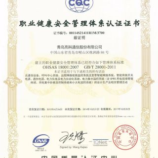 OHSAS 18001職業健康安全管理體系認證證書