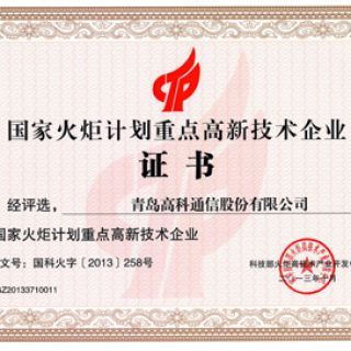國家火炬計劃重點高新技術企業